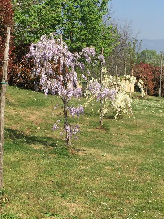 Lago Gabbiano Podere Casanova Pistoia Dış mekan fotoğraf