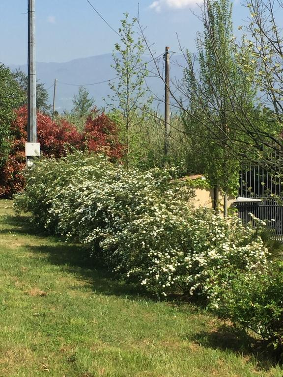 Lago Gabbiano Podere Casanova Pistoia Dış mekan fotoğraf